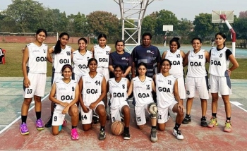 Basket goa discount