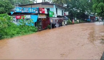 Parts of Old Goa submerged, movement disrupted