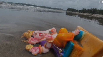 Govt to dispose PoP idols washed ashore after immersion