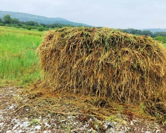 Borim bridge project: Farmers question govt intentions in rushing with land acquisition