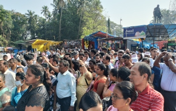 Thousands make beeline for veneration