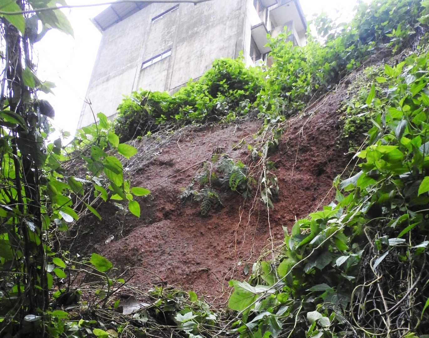 Landslide at Alto Monte