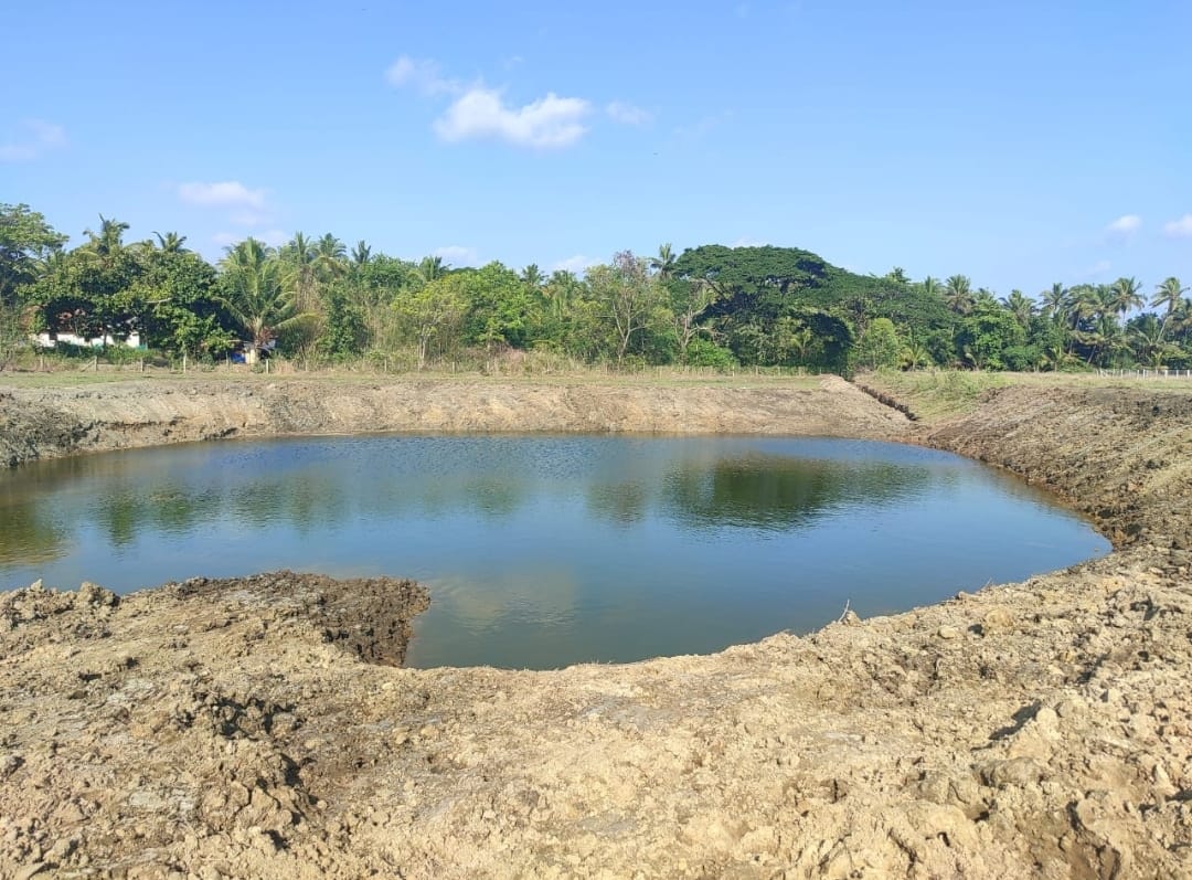 Desilted ponds open doors   for youth in aqua culture