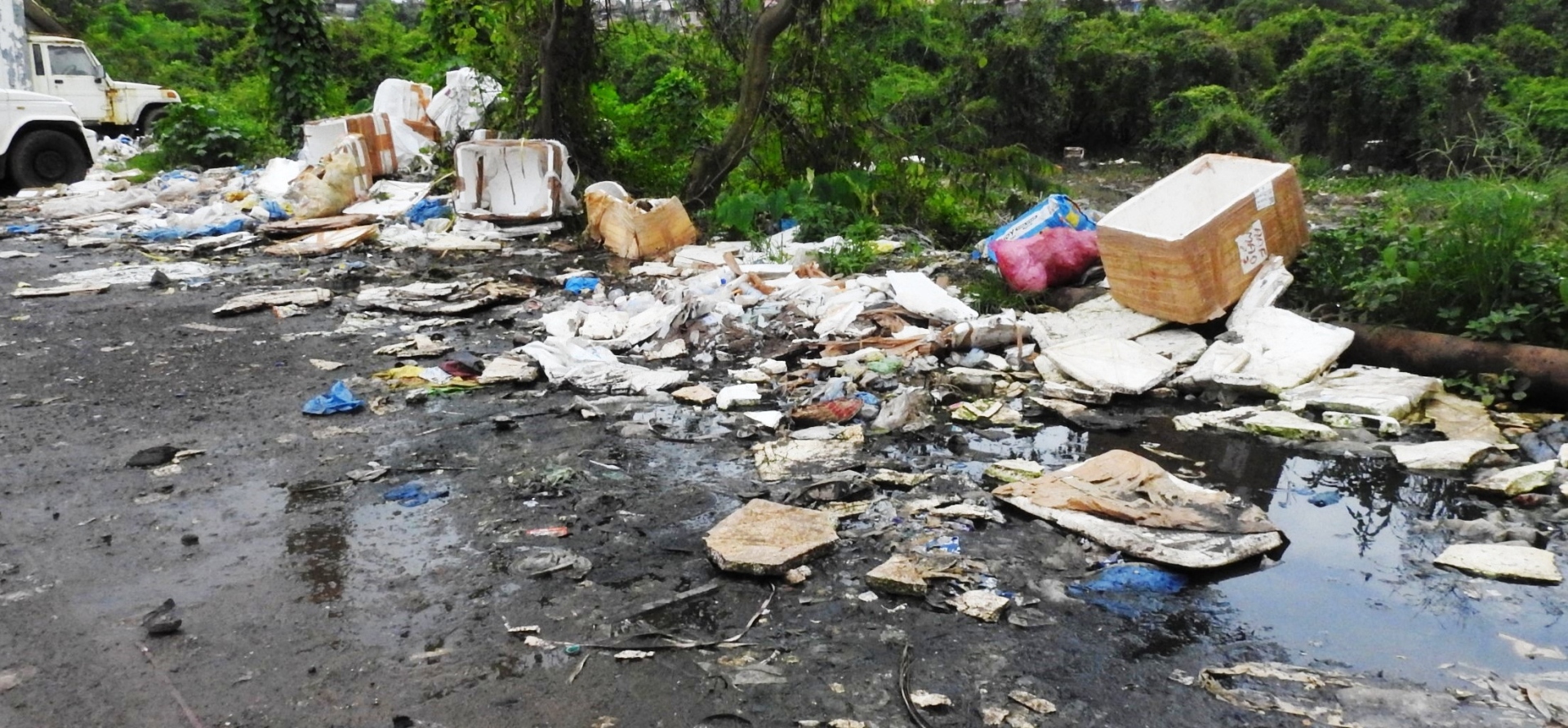 Issue of thermocol waste along SGPDA market  road, Sal banks comes under HC scanner