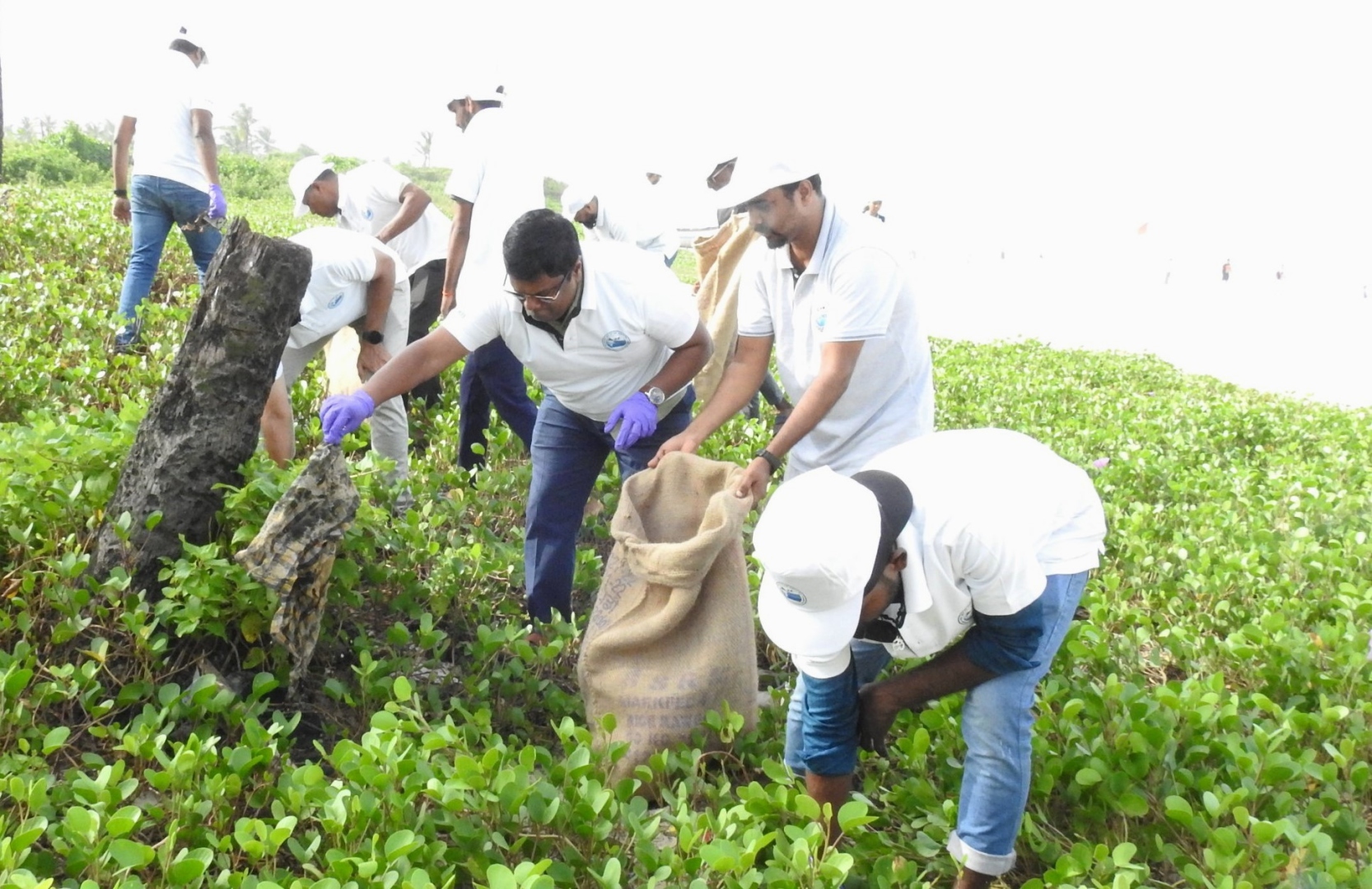 MLA joins Colva beach   cleanup initiative