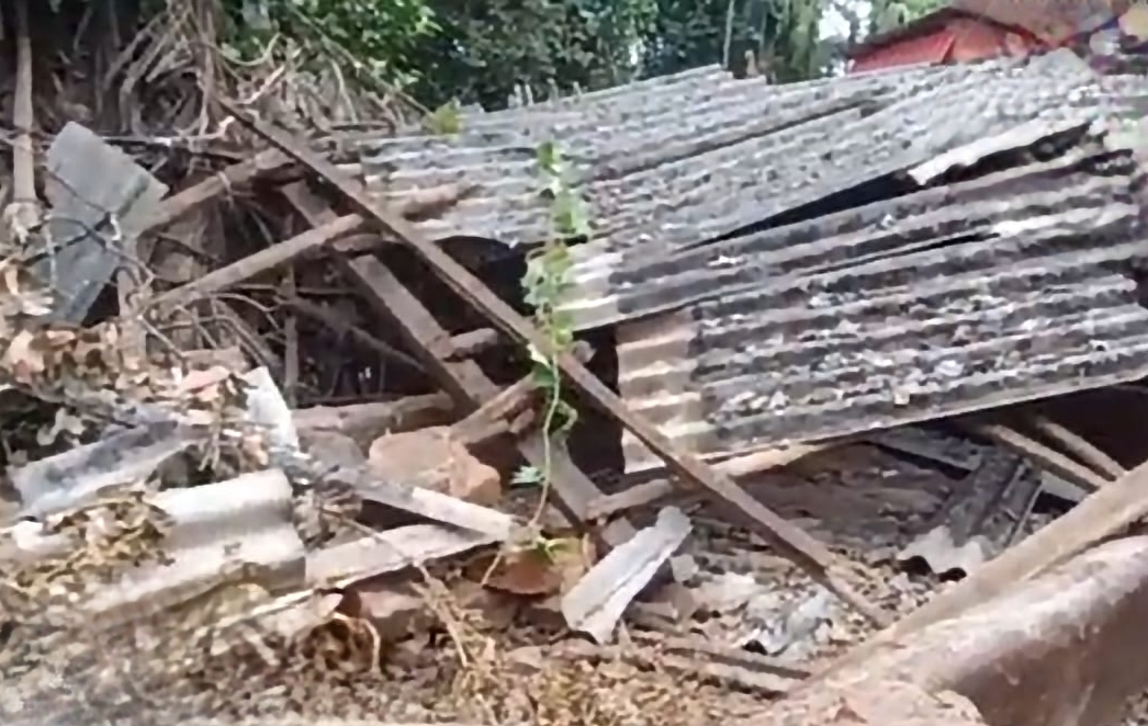 Lucky escape for 8 cows as tree falls on shed at Netravali