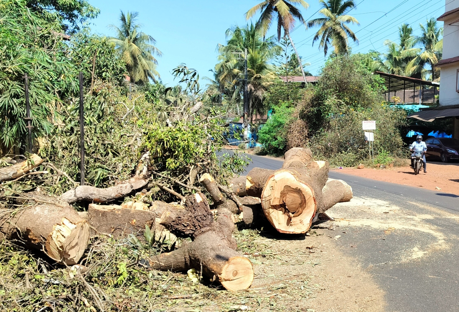 Century-old trees chopped, compound walls razed for Siolim road-widening