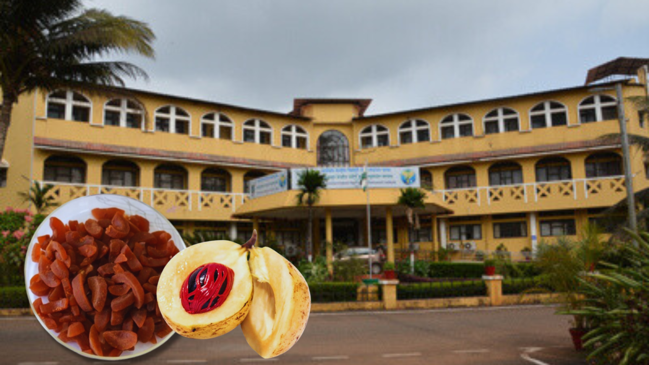 The Goan EveryDay: ICAR-CCARI Goa's 'Nutmeg Taffy' invention granted ...