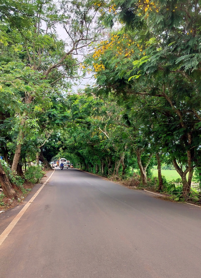 Calangute constituency undergoes   Rs 10 cr road improvement works