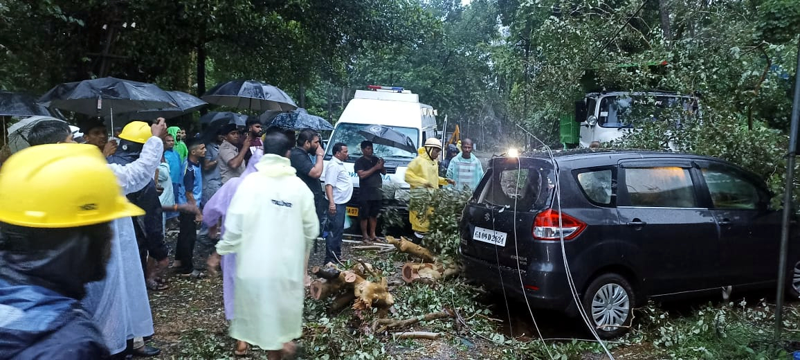 Narrow escape for occupants as tree falls on 2 vehicles at Sanguem