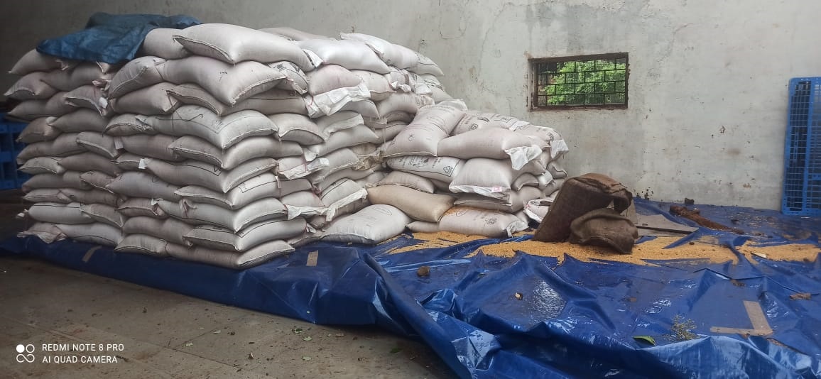 Roofs of warehouses in Honda blown off, grain stock damaged