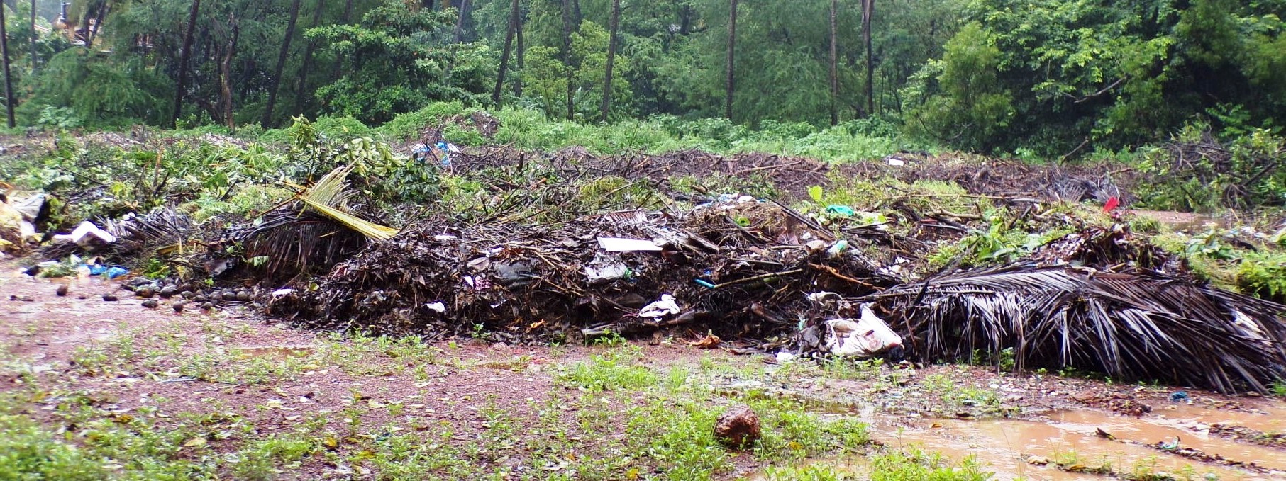 Activists protest over mixed waste dump on Old Market land