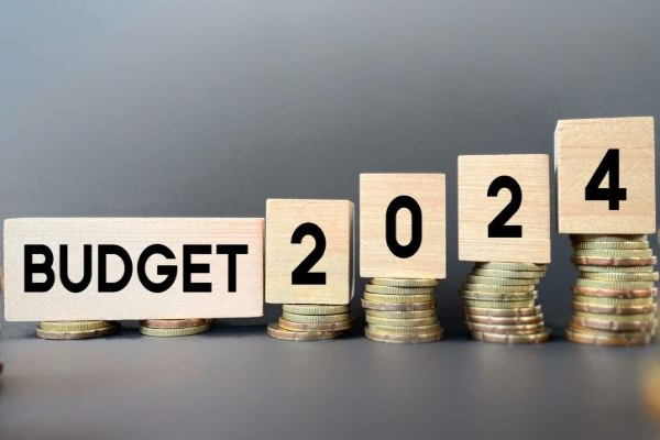 Optimisation of Union Budget 2024-25