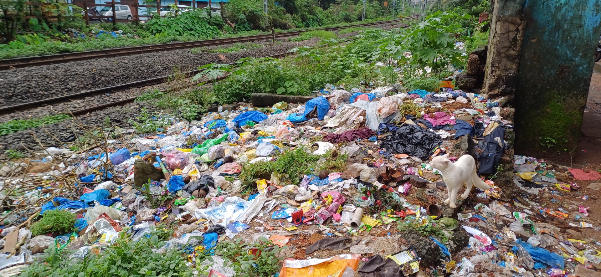 Despite crores spent on collection, garbage finds it way along Margao roads, rail tracks