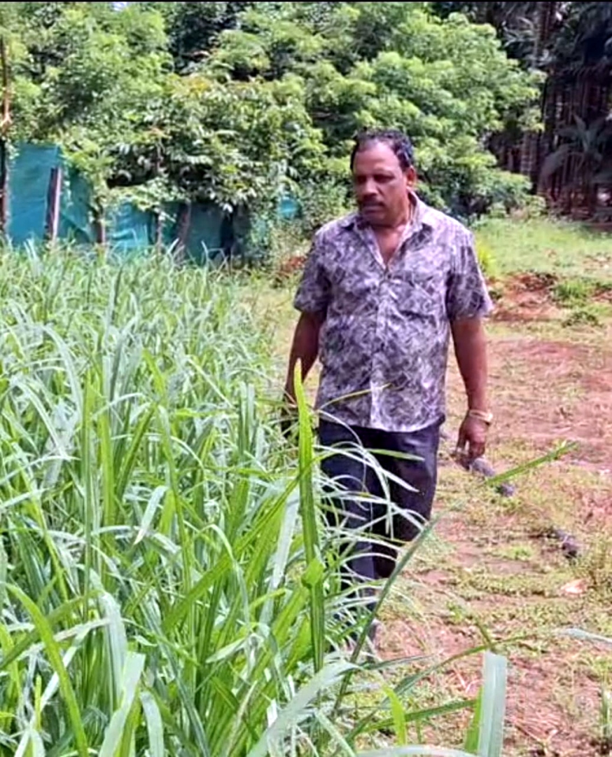 ﻿Sugarcane farmers fear uncertain times as aid package runs out