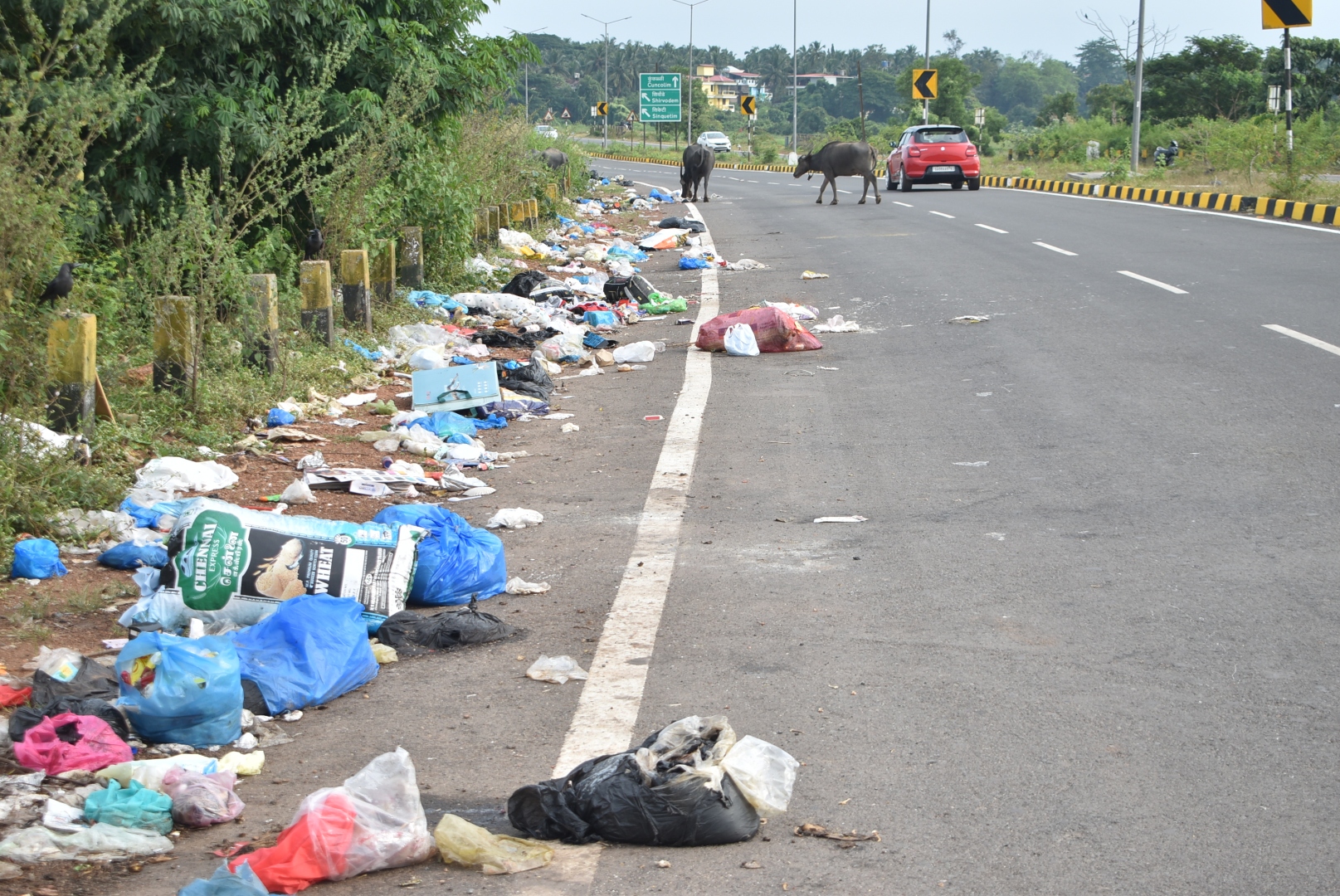 Garbage dumping plagues Navelim-Benaulim bypass