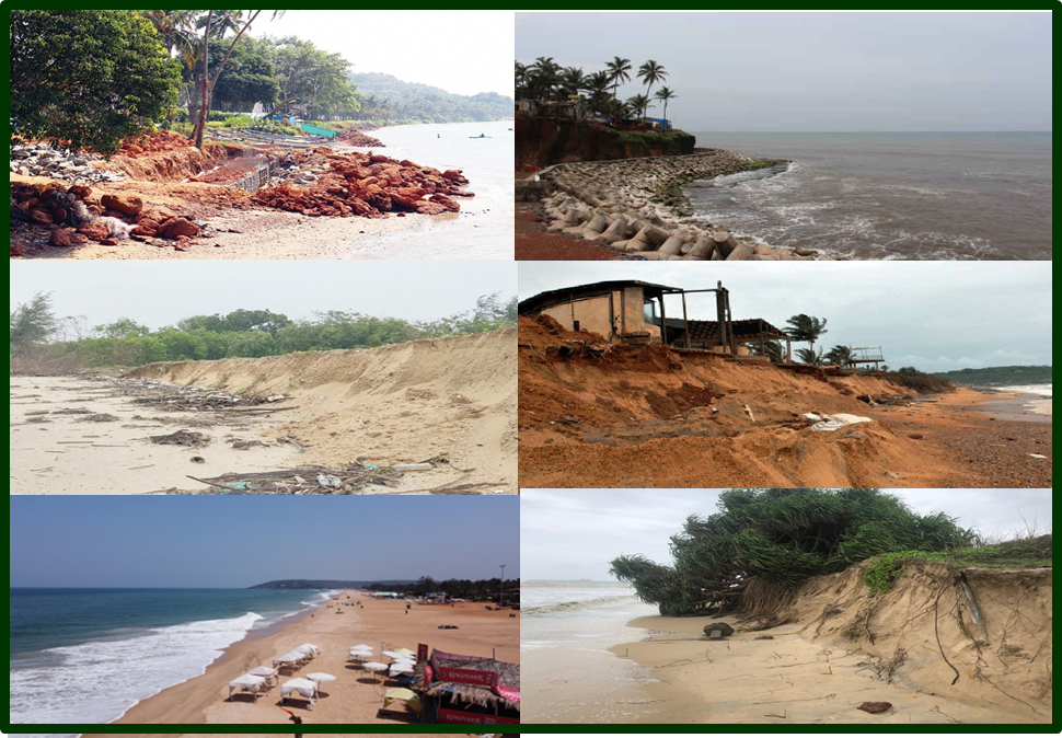 Sand nourishment, dune vegetation, and mangrove  restoration recommended for beach restoration