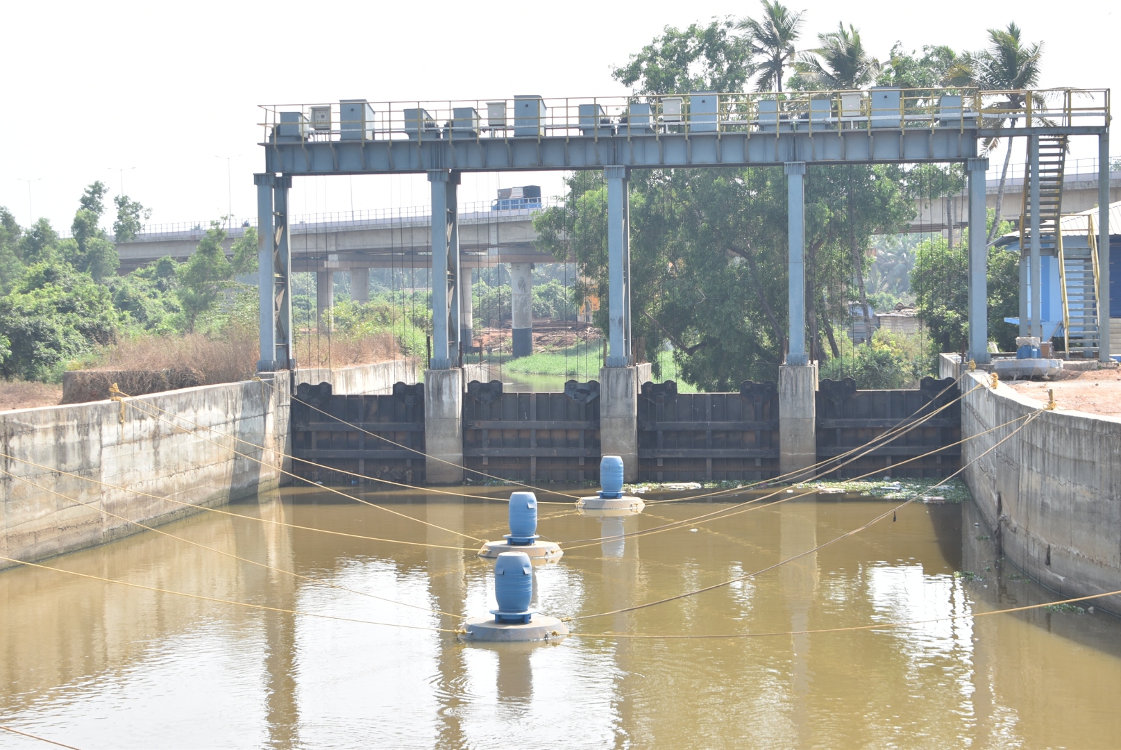 Sal rejuvenation project near wholesale fish market threatened by discharge of untreated sewage water