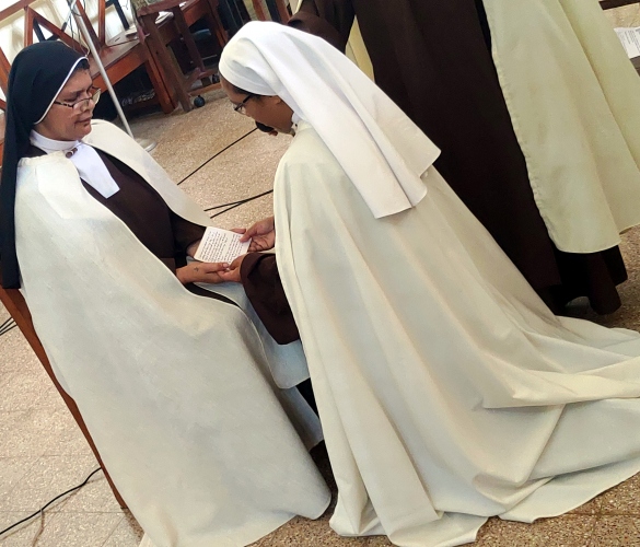 Cloistered Carmelite nun professes final vows