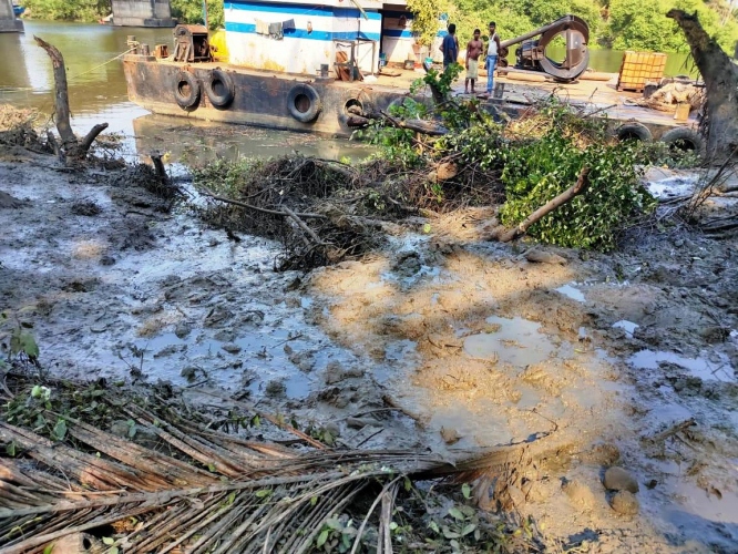 Felling of mangroves along Sal irks locals