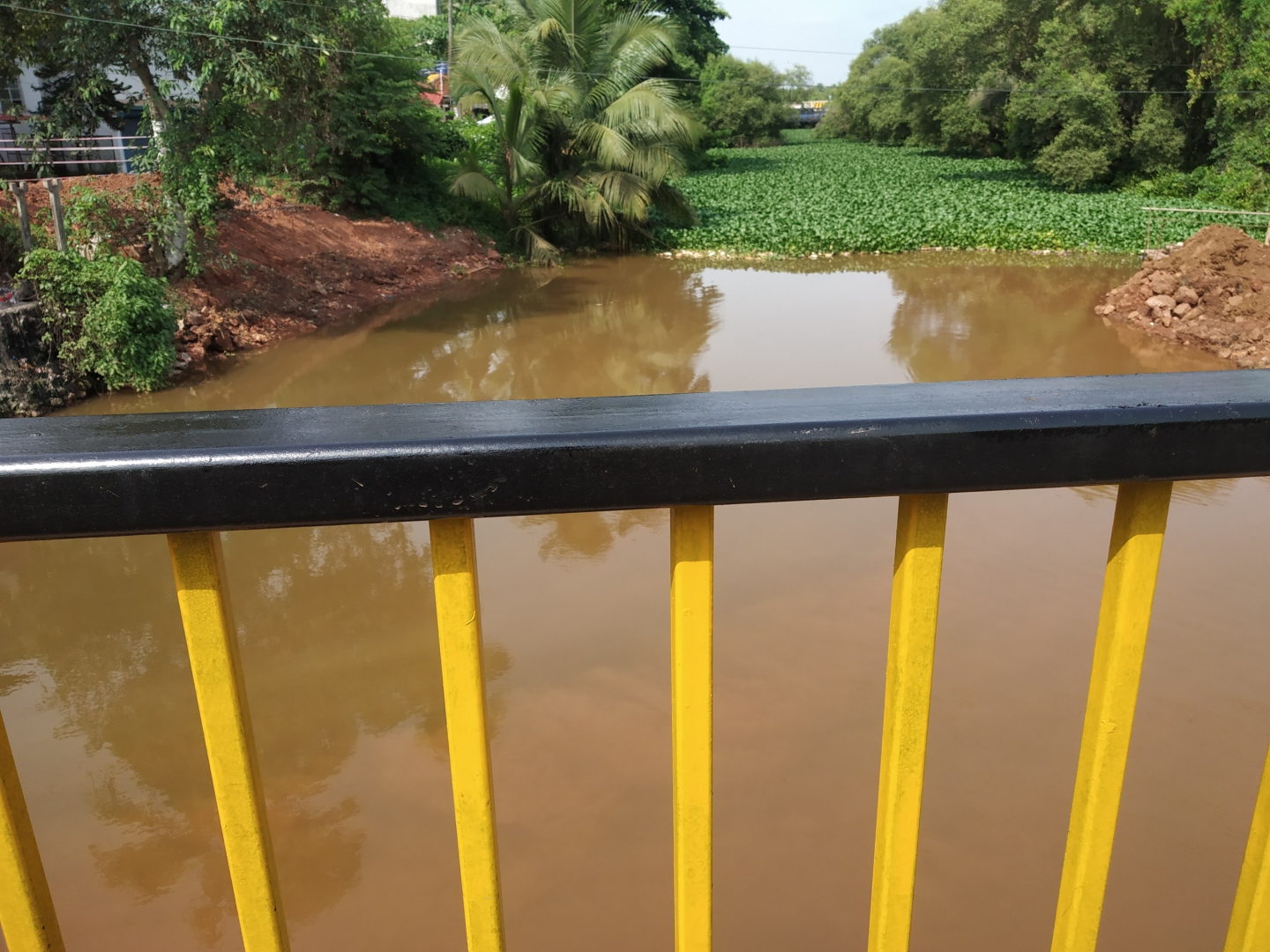 WRD to clear part of Mapusa river of invasive weed