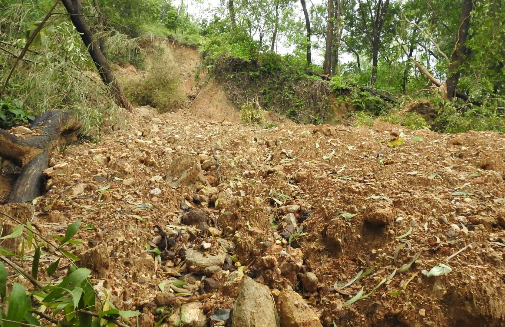 Demand to conduct probe into landslide at Dicarpale