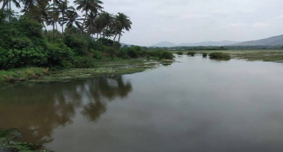 Nanda lake at Curchorem gets Ramsar recognition