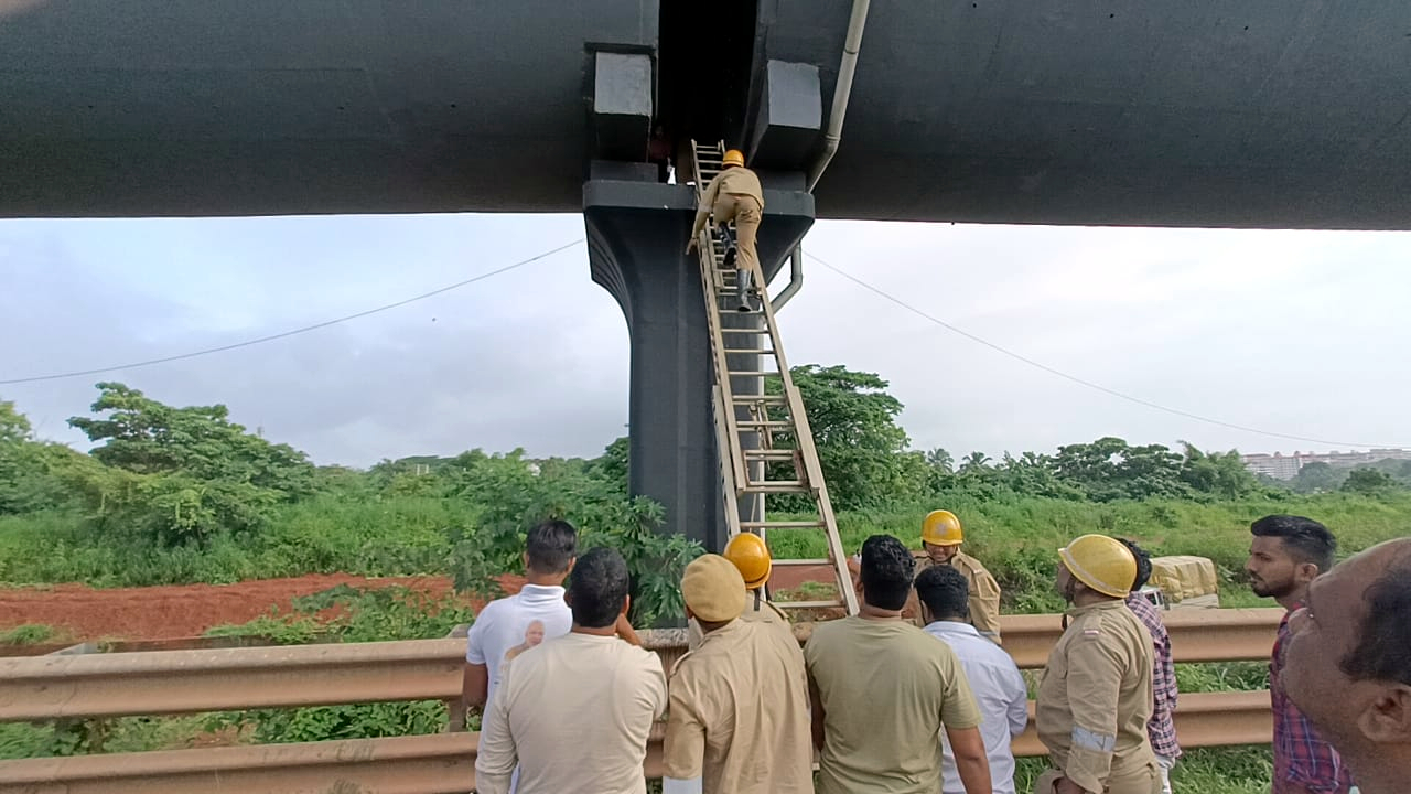 Woman rescued from gap over flyover pillar at Dabolim