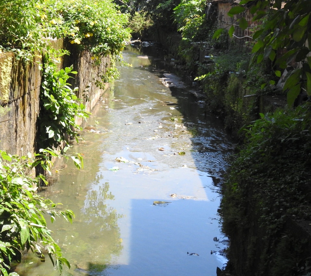 Residents cry foul over odour emanating from nullah in Margao