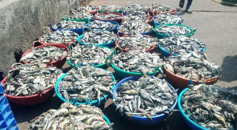 Two trawler owners claim   losses over fish spoilage