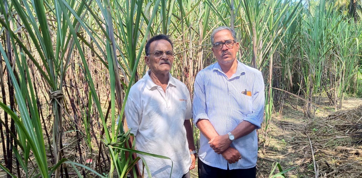 Forget IIT, revive Sanjivani sugar factory first: Agriculturists