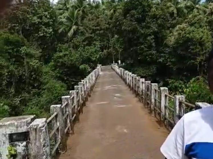 Locals demand parallel bridge in Temchowaddo