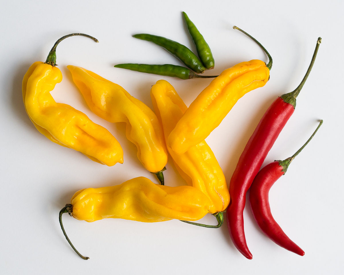 ﻿Why some like it hot: science of spiciness