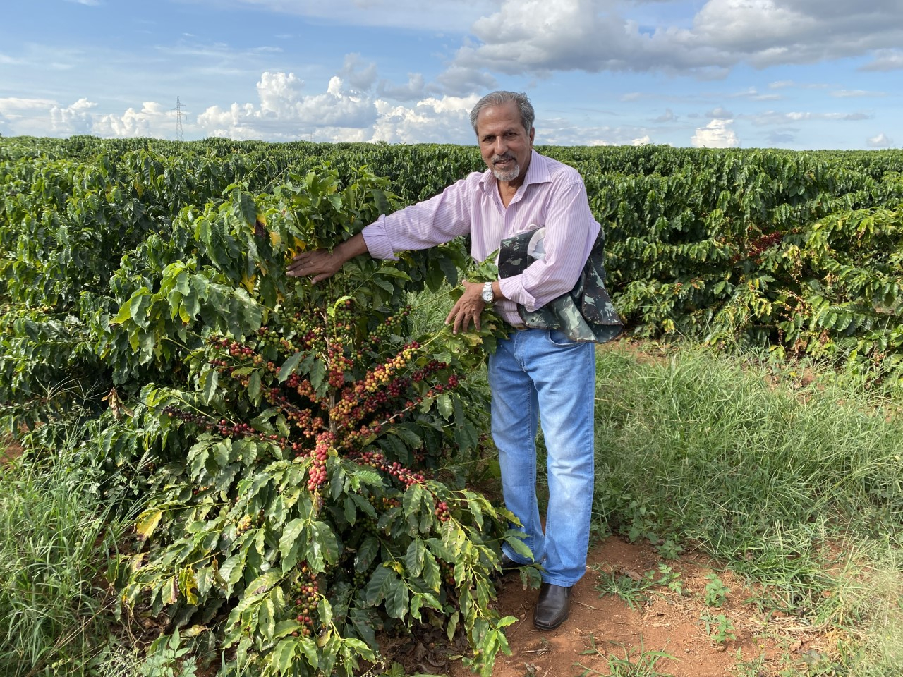 On the trail of Café Goa: Goan produces coffee at his ‘Fazenda Goa’ farm in Brazil