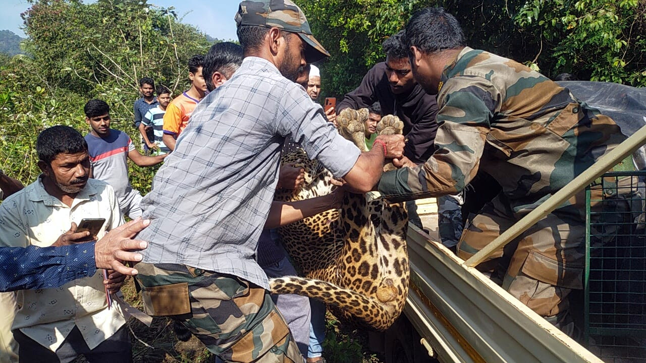 Land owner booked for death of leopard in Kopardem