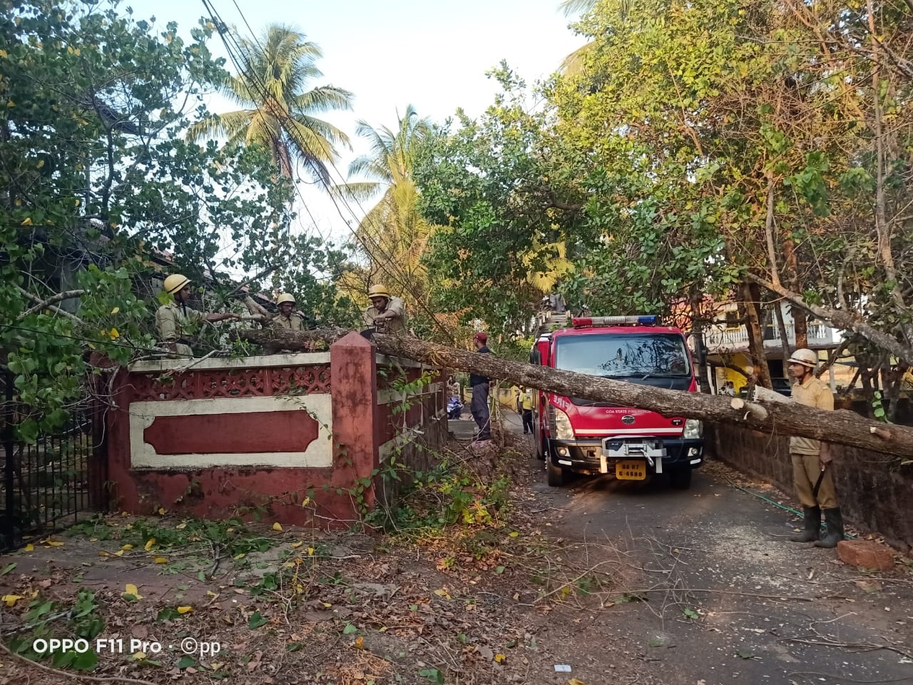 Tree falls on house, power cables in Tuem